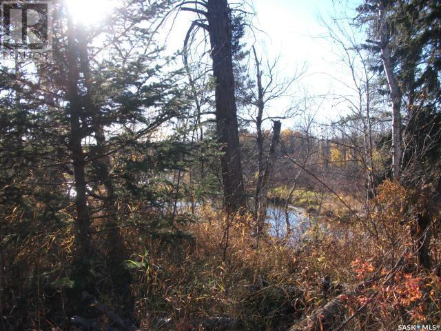 












Regional Park lot 5-3

,
Hudson Bay Rm No. 394,







Saskatchewan
S0E0Y0

