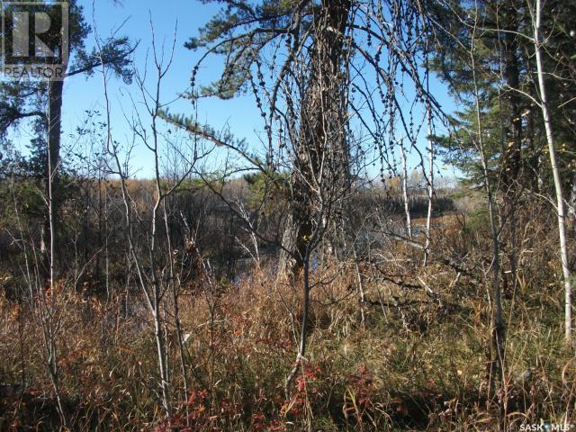 












Regional Park lot 5-3

,
Hudson Bay Rm No. 394,







Saskatchewan
S0E0Y0

