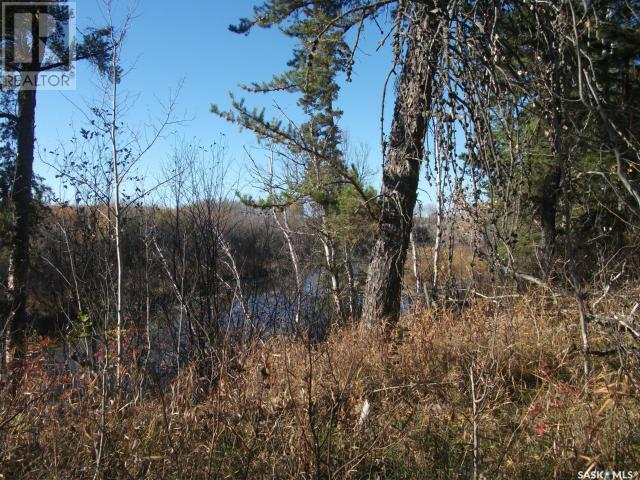 












Regional Park lot 5-3

,
Hudson Bay Rm No. 394,







Saskatchewan
S0E0Y0

