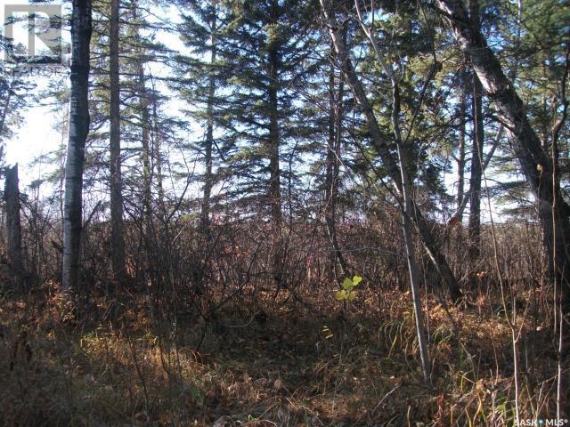 












Regional Park lot 5-3

,
Hudson Bay Rm No. 394,







Saskatchewan
S0E0Y0

