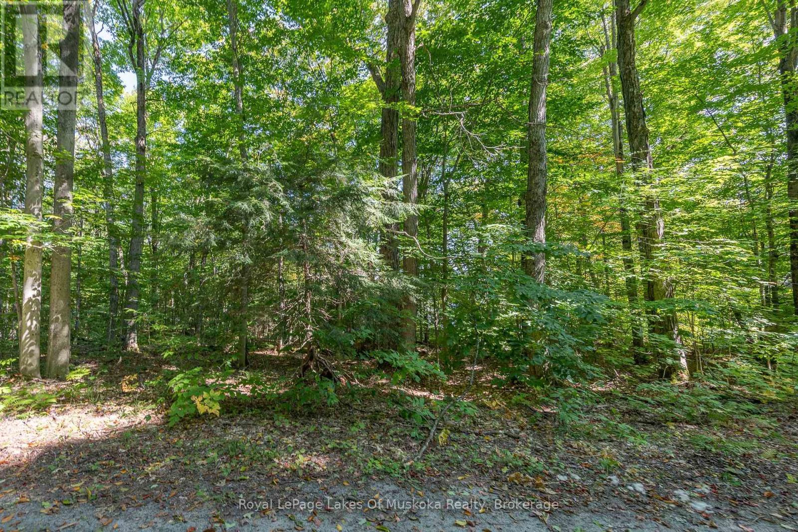 












437 OTTER LAKE ROAD

,
Huntsville (Brunel),







Ontario
P1H2J3

