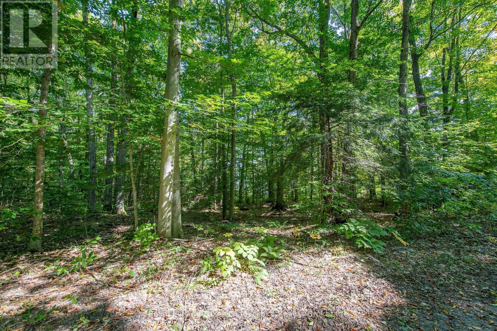 












437 OTTER LAKE ROAD

,
Huntsville (Brunel),







Ontario
P1H2J3

