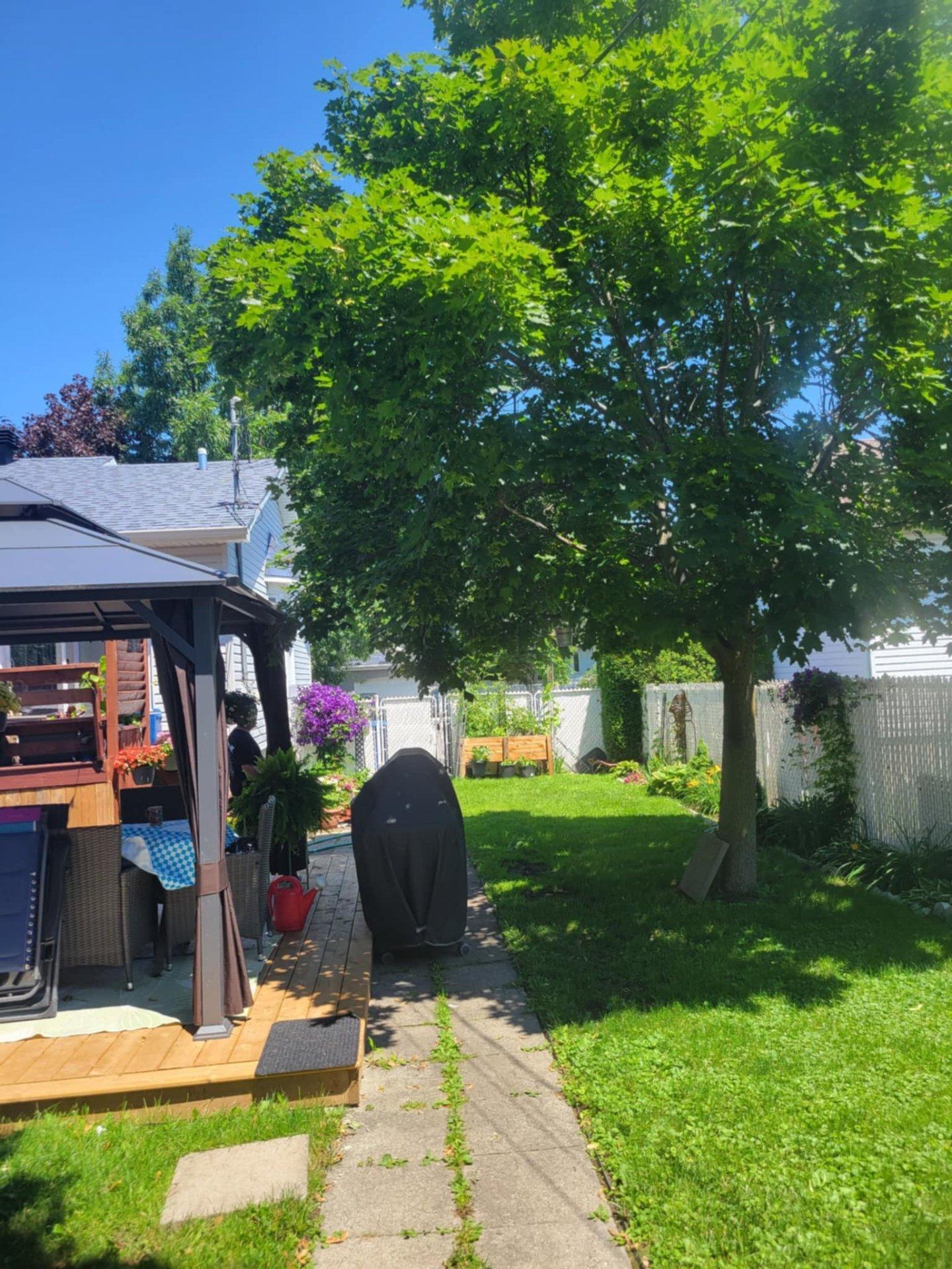 









21


Rue de Caplan

,
Blainville,




QC
J7B1J3

