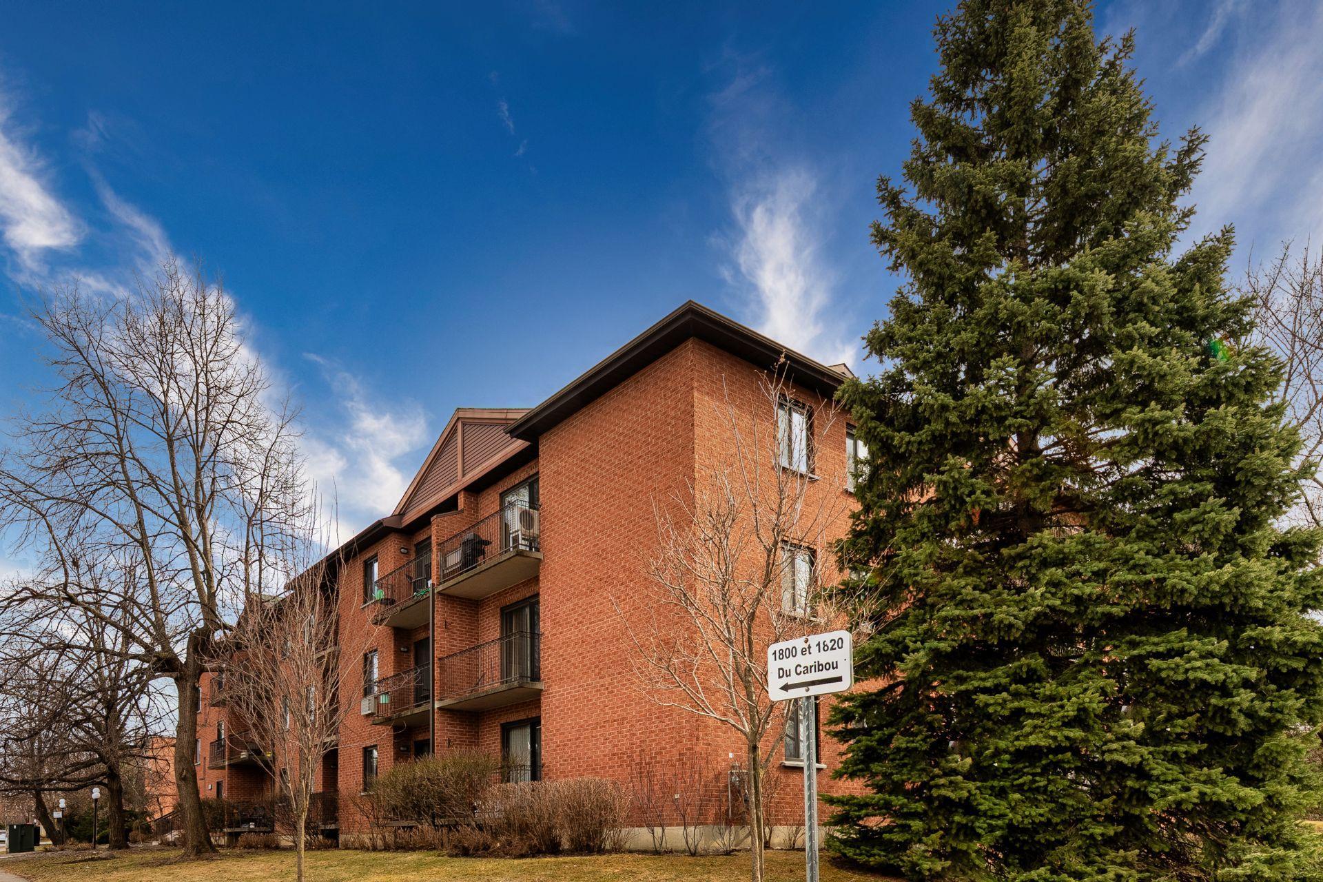 









1800


Rue du Caribou

, 204,
Longueuil (Le Vieux-Longueuil),




QC
J4N1K2

