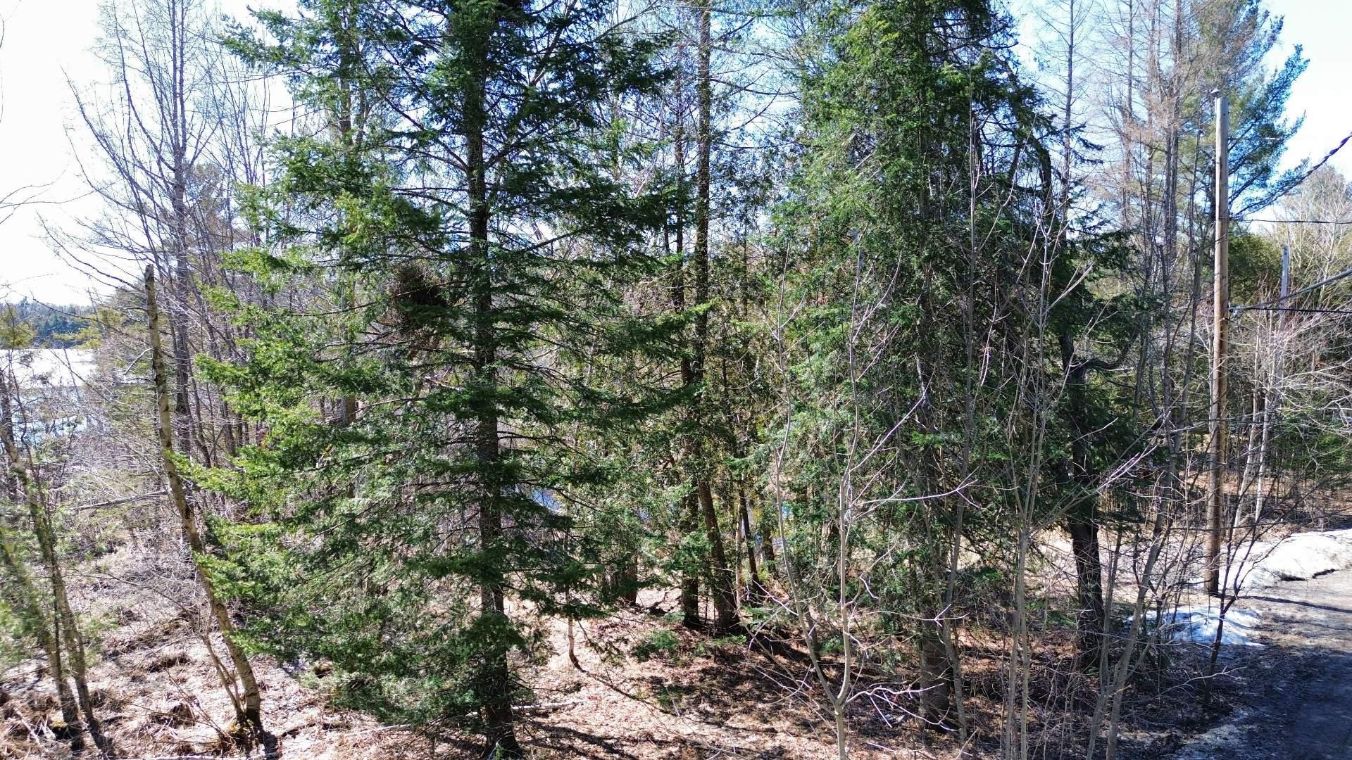 









230


Ch. du Lac-à-la-Truite

,
Orford,




QC
J1X6J6

