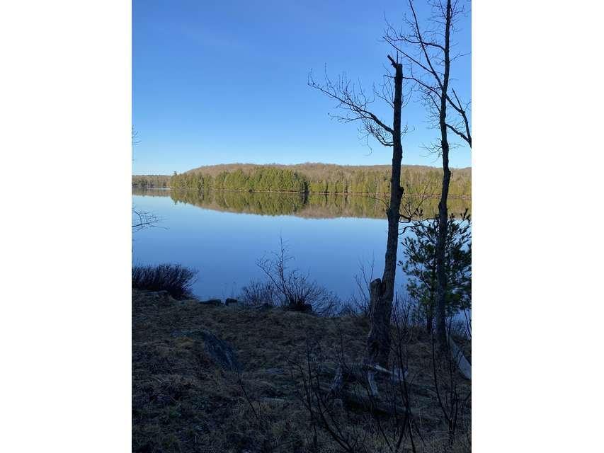 









230


Ch. du Lac-à-la-Truite

,
Orford,




QC
J1X6J6

