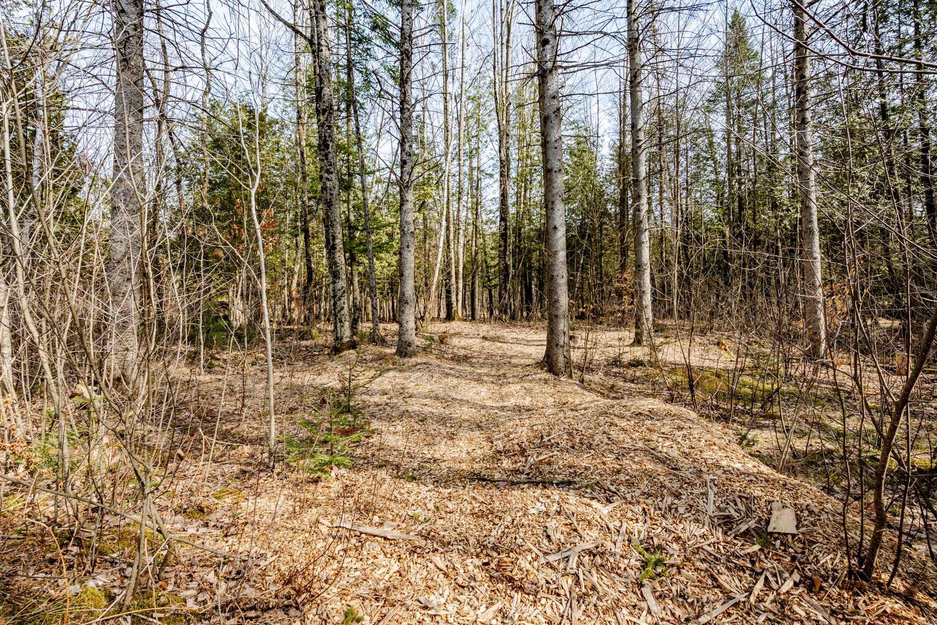 









5917


Ch. de Val-du-Lac

,
Sherbrooke (Brompton/Rock Forest/Saint-Élie/Deauville),




QC
J1N0E9

