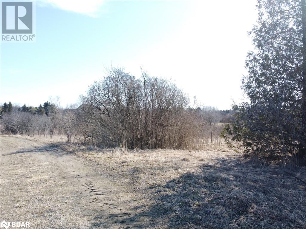 












11080 FIRST LINE NASSAGAWEYA

,
Milton,







Ontario
L0P1J0

