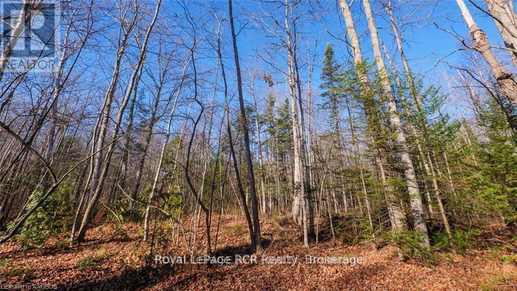 












25 AVELE ROAD E

,
South Bruce Peninsula,




Ontario
N0H2T0

