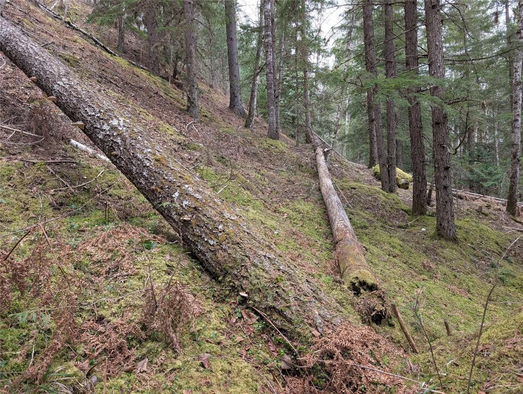 









Lot 3


Ollanson

Road,
Seymour Arm,







BC
V0E 2V2

