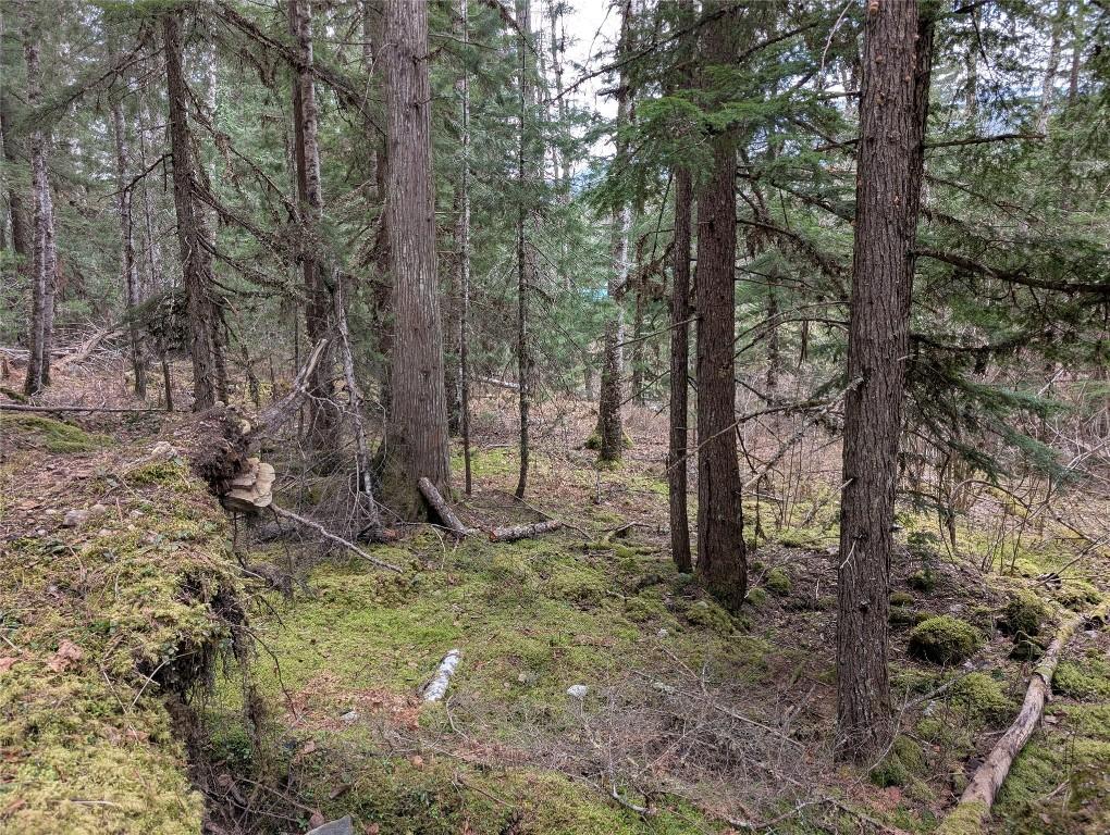 









Lot 3


Ollanson

Road,
Seymour Arm,







BC
V0E 2V2

