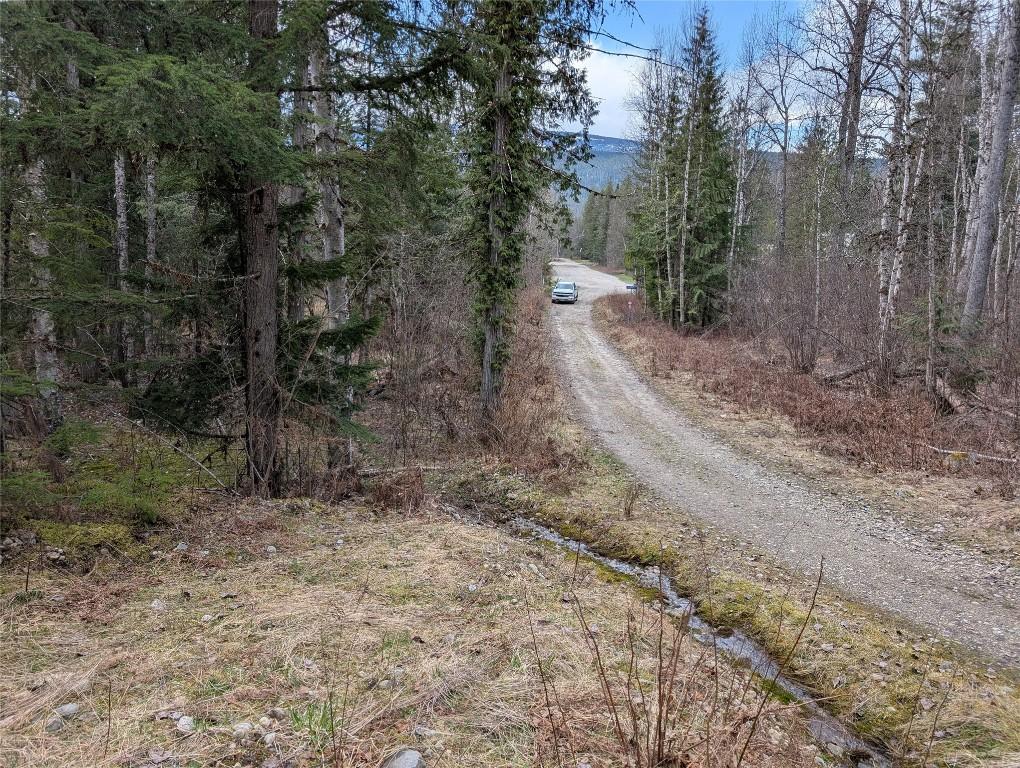 









Lot 3


Ollanson

Road,
Seymour Arm,







BC
V0E 2V2

