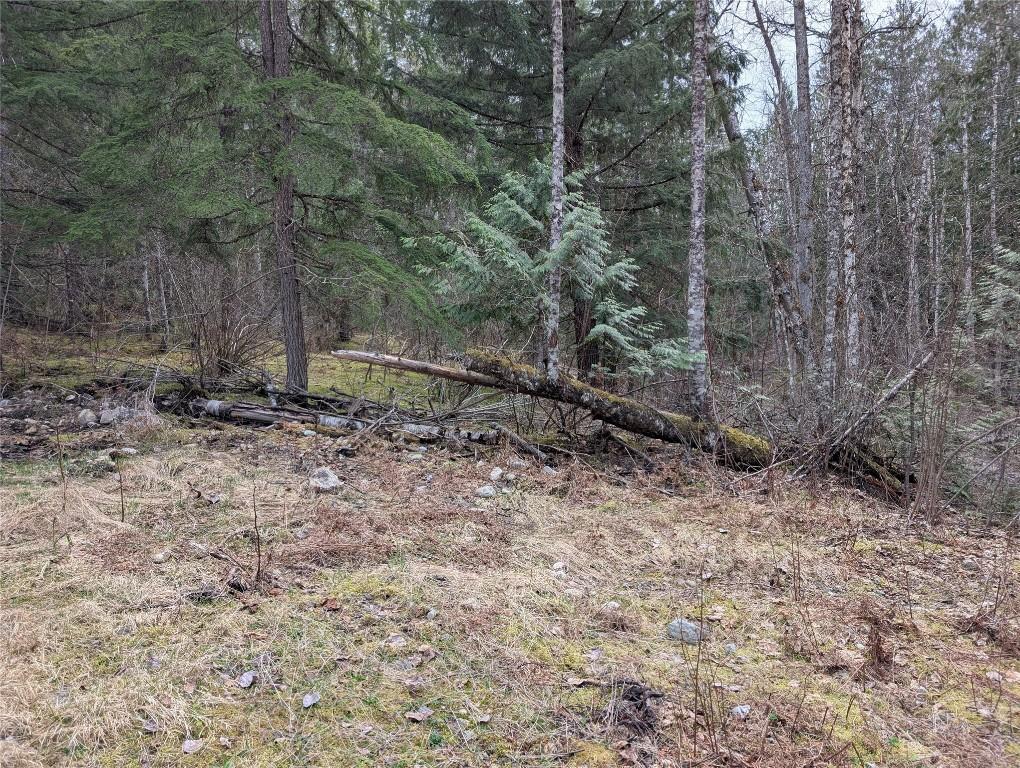 









Lot 3


Ollanson

Road,
Seymour Arm,







BC
V0E 2V2

