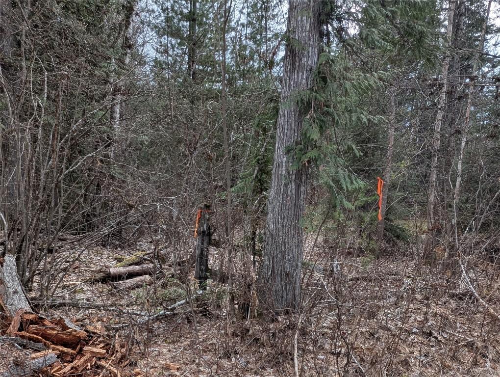 









Lot 3


Ollanson

Road,
Seymour Arm,







BC
V0E 2V2

