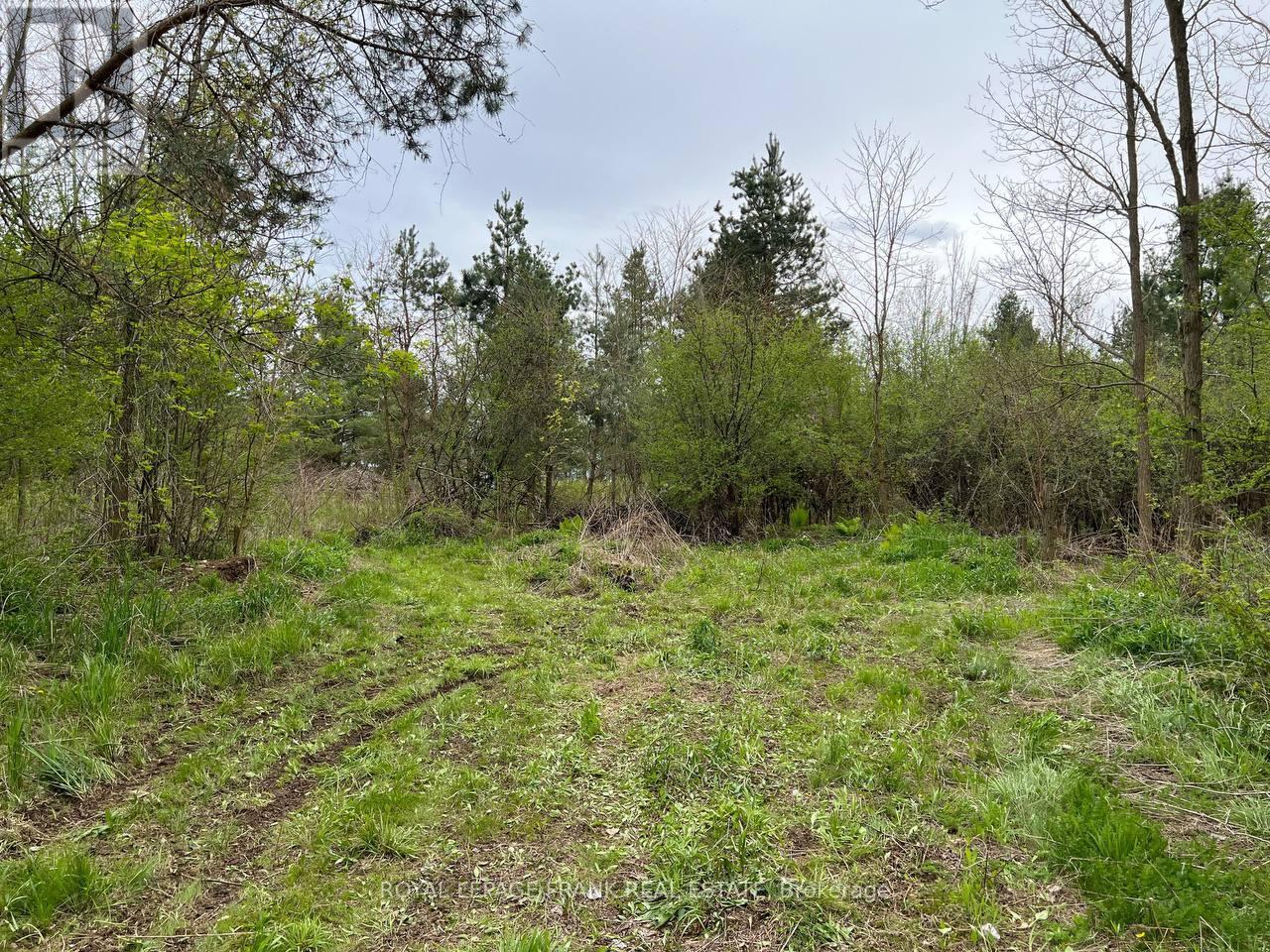












. RUTHERFORD ROAD

,
Alnwick/Haldimand (Grafton),







Ontario
K0K1S0

