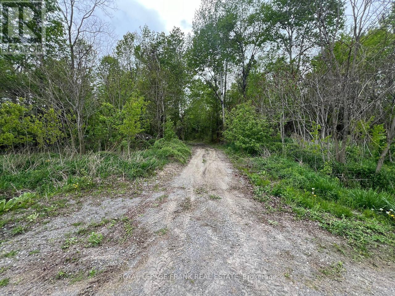 












. RUTHERFORD ROAD

,
Alnwick/Haldimand (Grafton),







Ontario
K0K1S0

