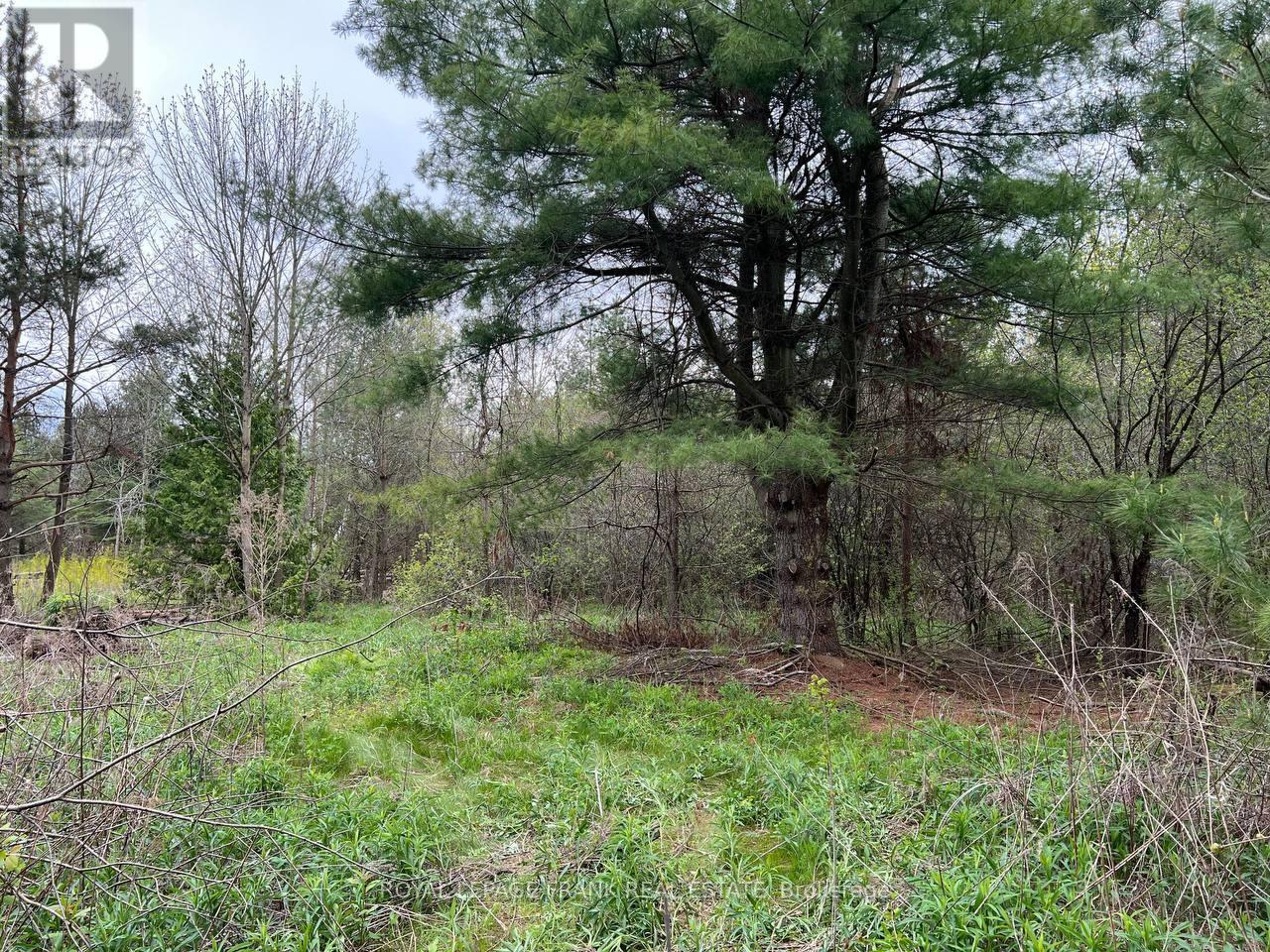 












. RUTHERFORD ROAD

,
Alnwick/Haldimand (Grafton),







Ontario
K0K1S0

