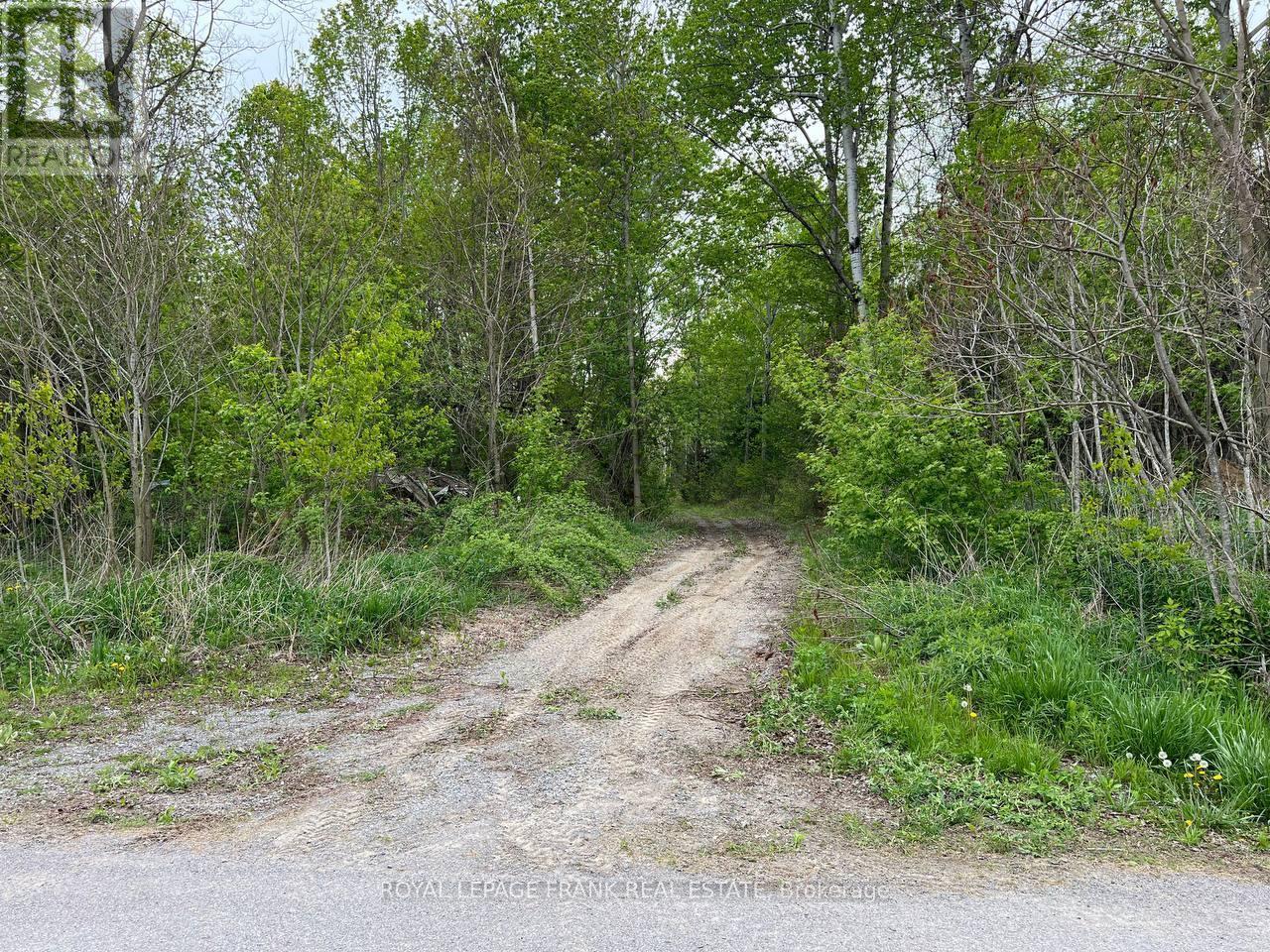 












. RUTHERFORD ROAD

,
Alnwick/Haldimand (Grafton),







Ontario
K0K1S0

