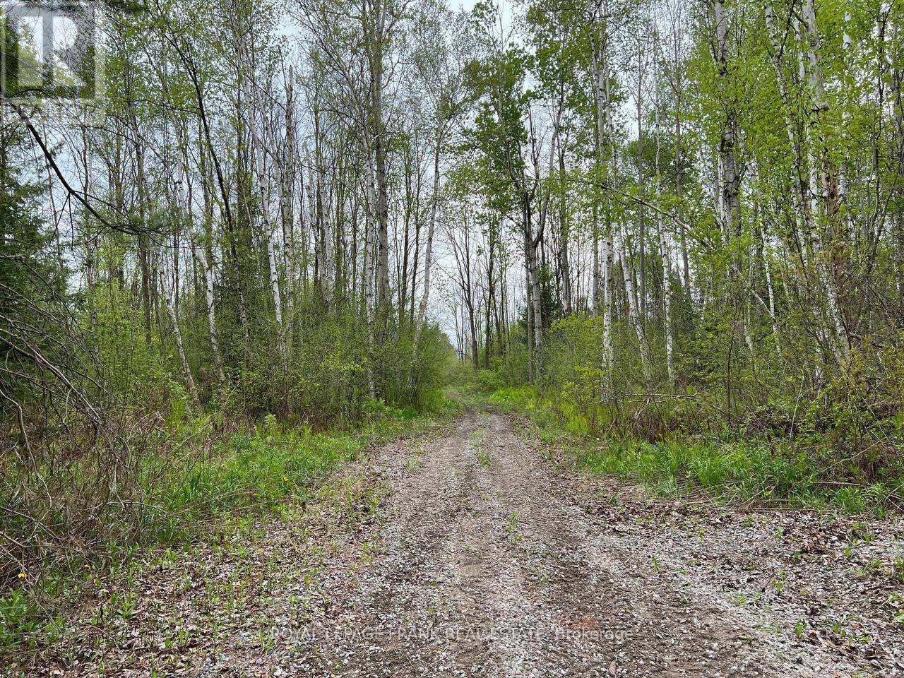 












. RUTHERFORD ROAD

,
Alnwick/Haldimand (Grafton),







Ontario
K0K1S0

