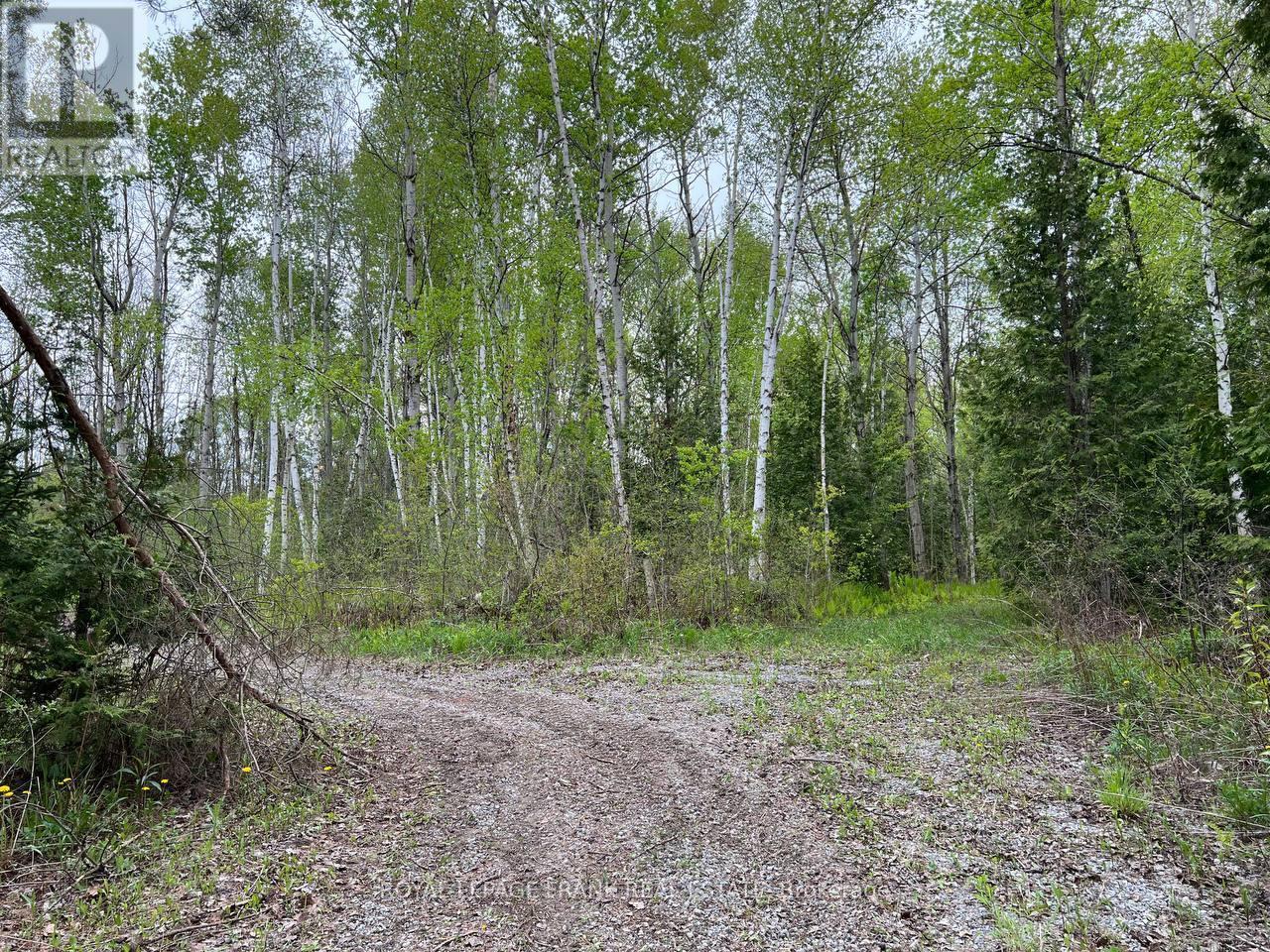 












. RUTHERFORD ROAD

,
Alnwick/Haldimand (Grafton),







Ontario
K0K1S0

