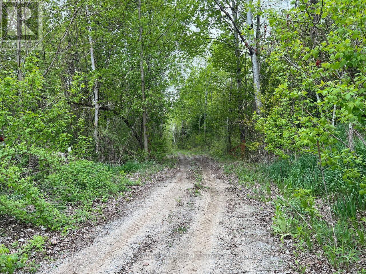 












. RUTHERFORD ROAD

,
Alnwick/Haldimand (Grafton),







Ontario
K0K1S0

