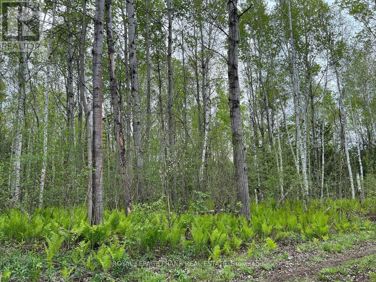 












. RUTHERFORD ROAD

,
Alnwick/Haldimand (Grafton),







Ontario
K0K1S0

