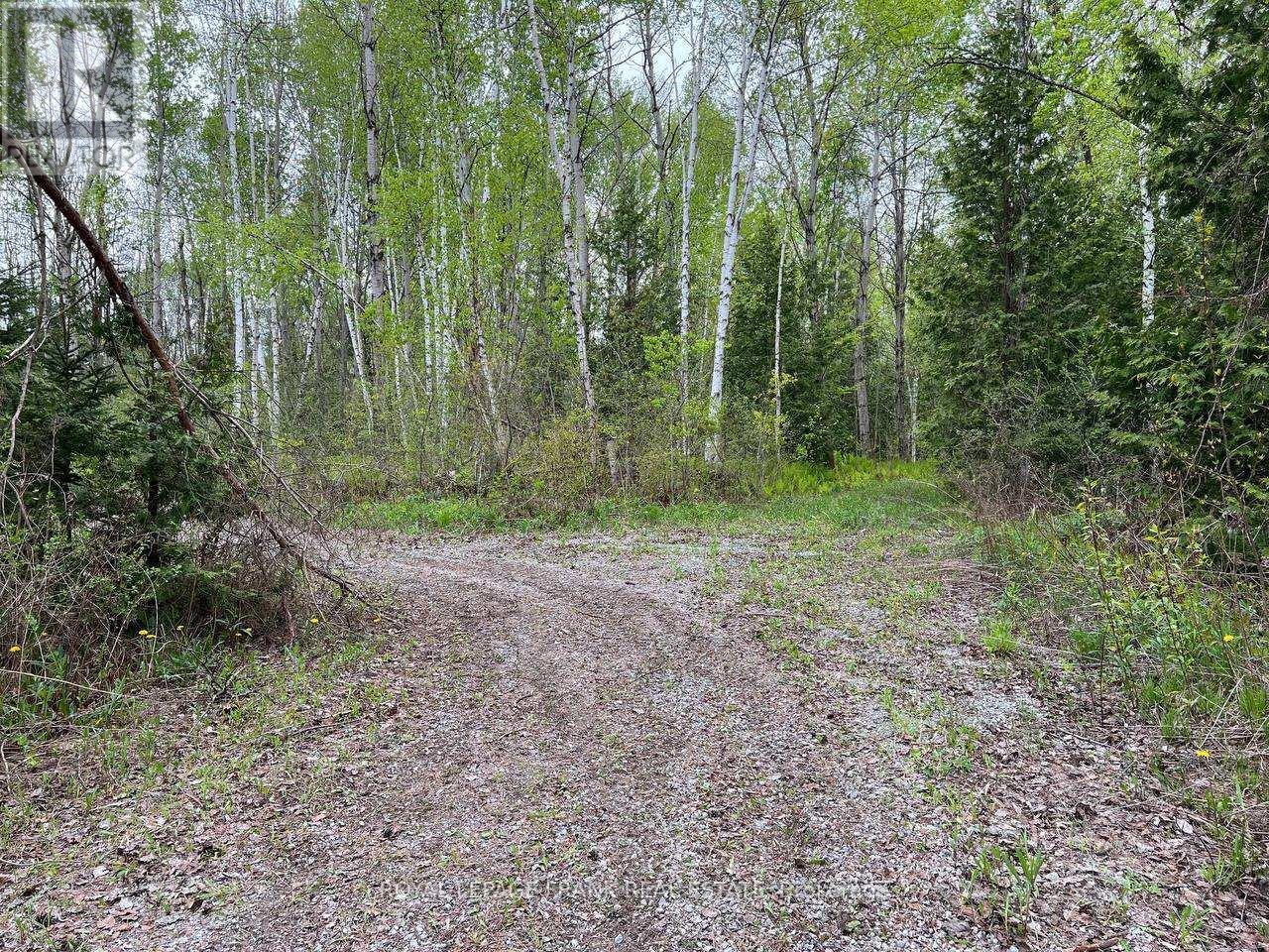 












. RUTHERFORD ROAD

,
Alnwick/Haldimand (Grafton),







Ontario
K0K1S0

