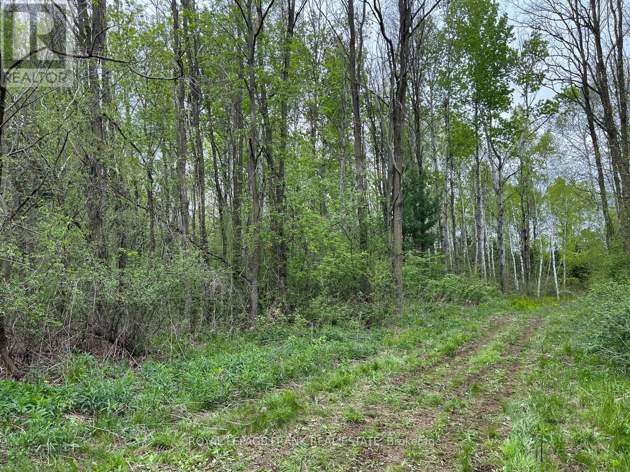 












. RUTHERFORD ROAD

,
Alnwick/Haldimand (Grafton),







Ontario
K0K1S0

