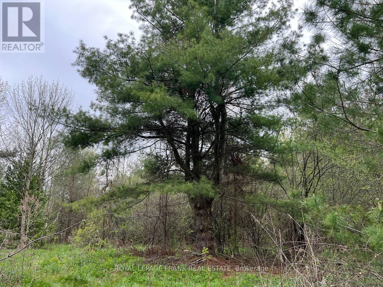 












. RUTHERFORD ROAD

,
Alnwick/Haldimand (Grafton),







Ontario
K0K1S0

