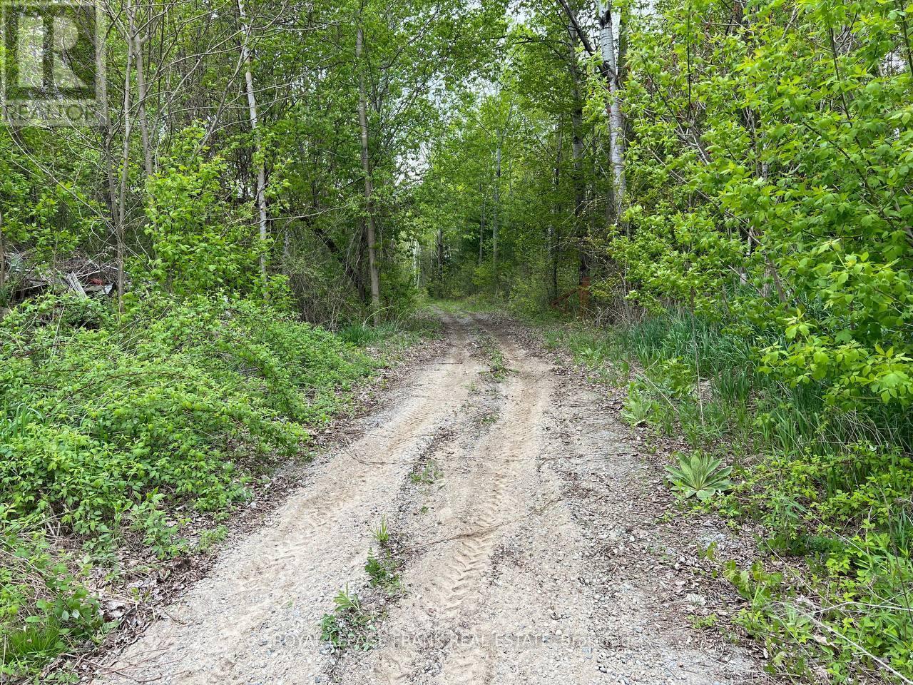 












. RUTHERFORD ROAD

,
Alnwick/Haldimand (Grafton),







Ontario
K0K1S0

