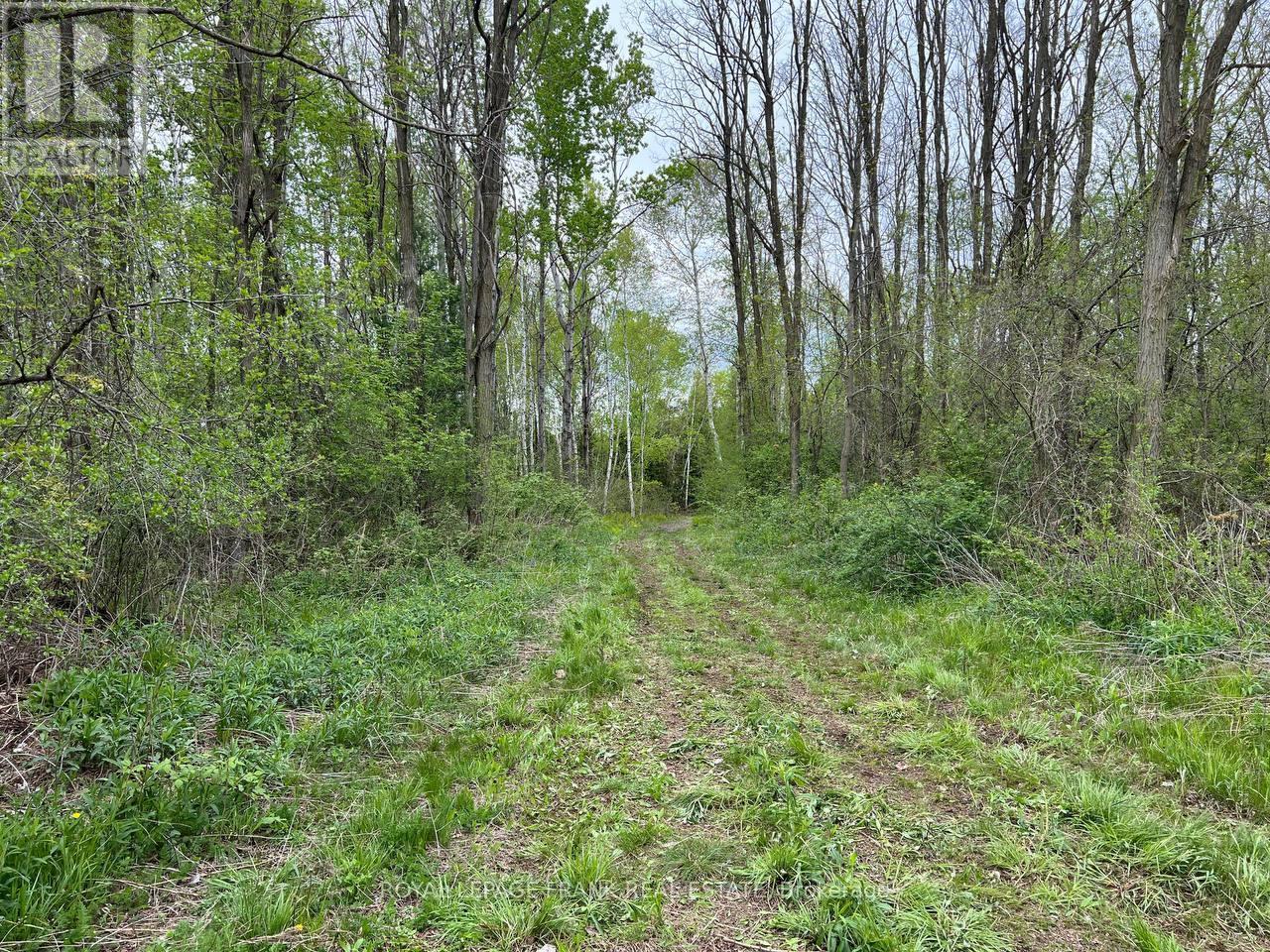 












. RUTHERFORD ROAD

,
Alnwick/Haldimand (Grafton),







Ontario
K0K1S0

