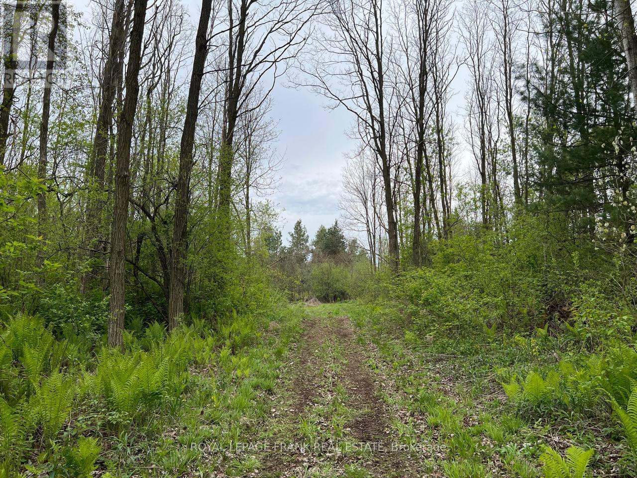 












. RUTHERFORD ROAD

,
Alnwick/Haldimand (Grafton),







Ontario
K0K1S0

