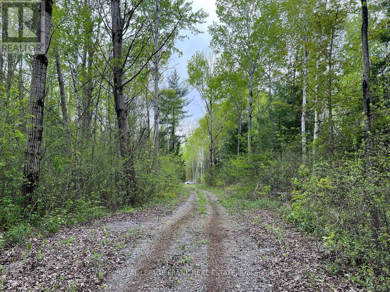 












. RUTHERFORD ROAD

,
Alnwick/Haldimand (Grafton),







Ontario
K0K1S0

