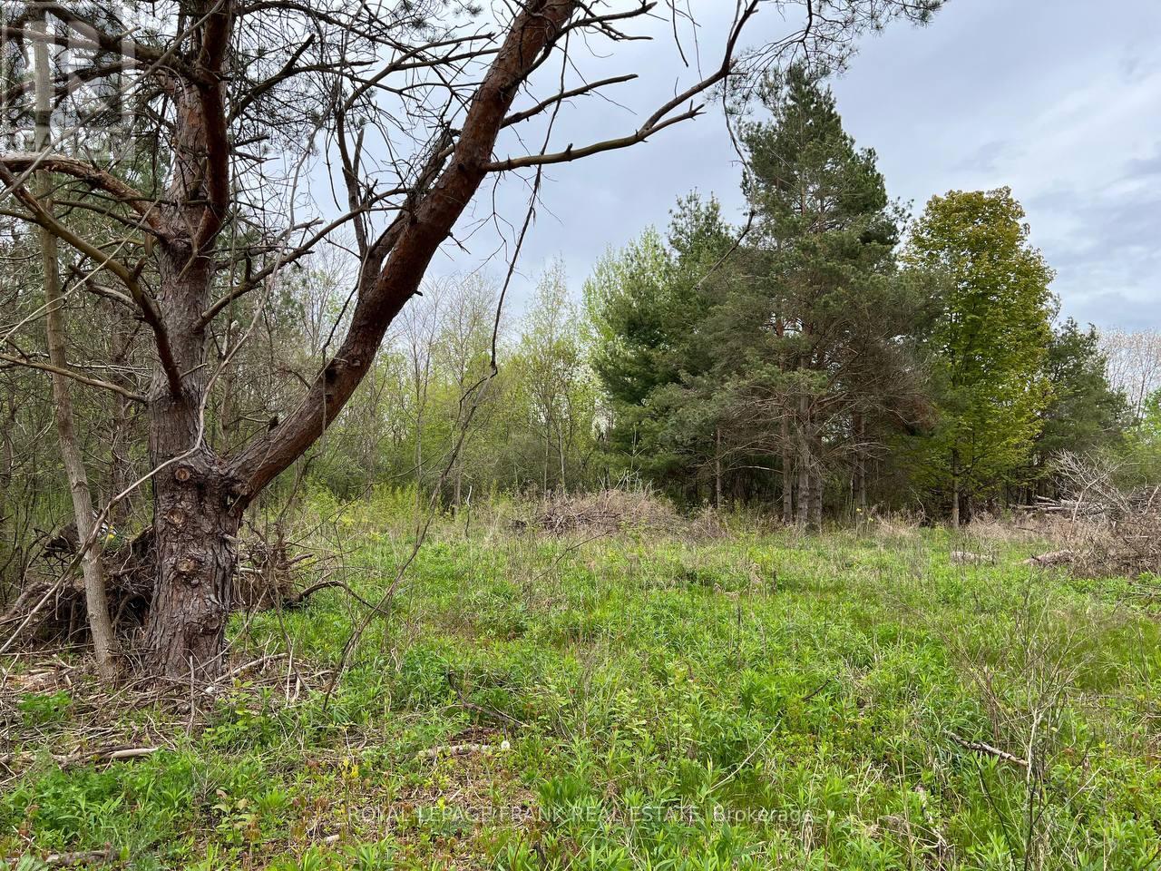 












. RUTHERFORD ROAD

,
Alnwick/Haldimand (Grafton),







Ontario
K0K1S0

