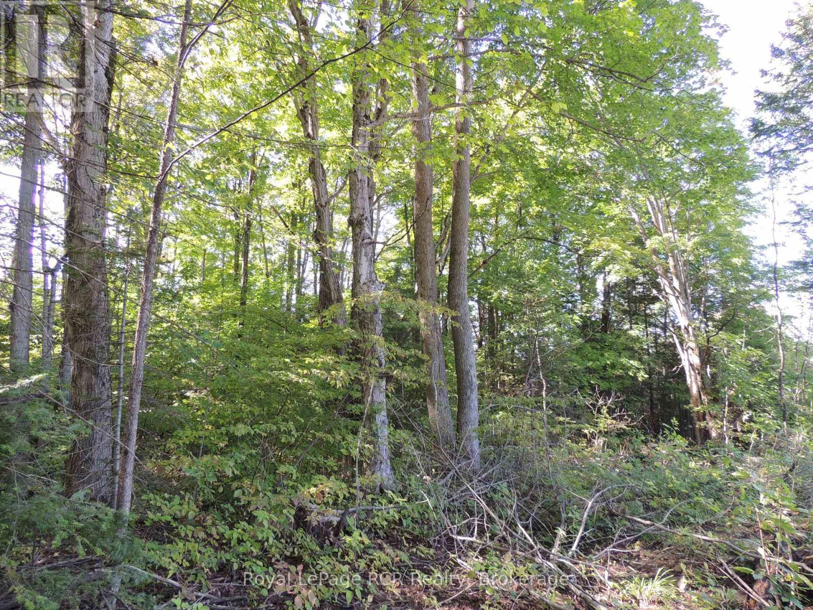 












LT 35 HIGHLAND DRIVE

,
West Grey,







Ontario
N0C1H0

