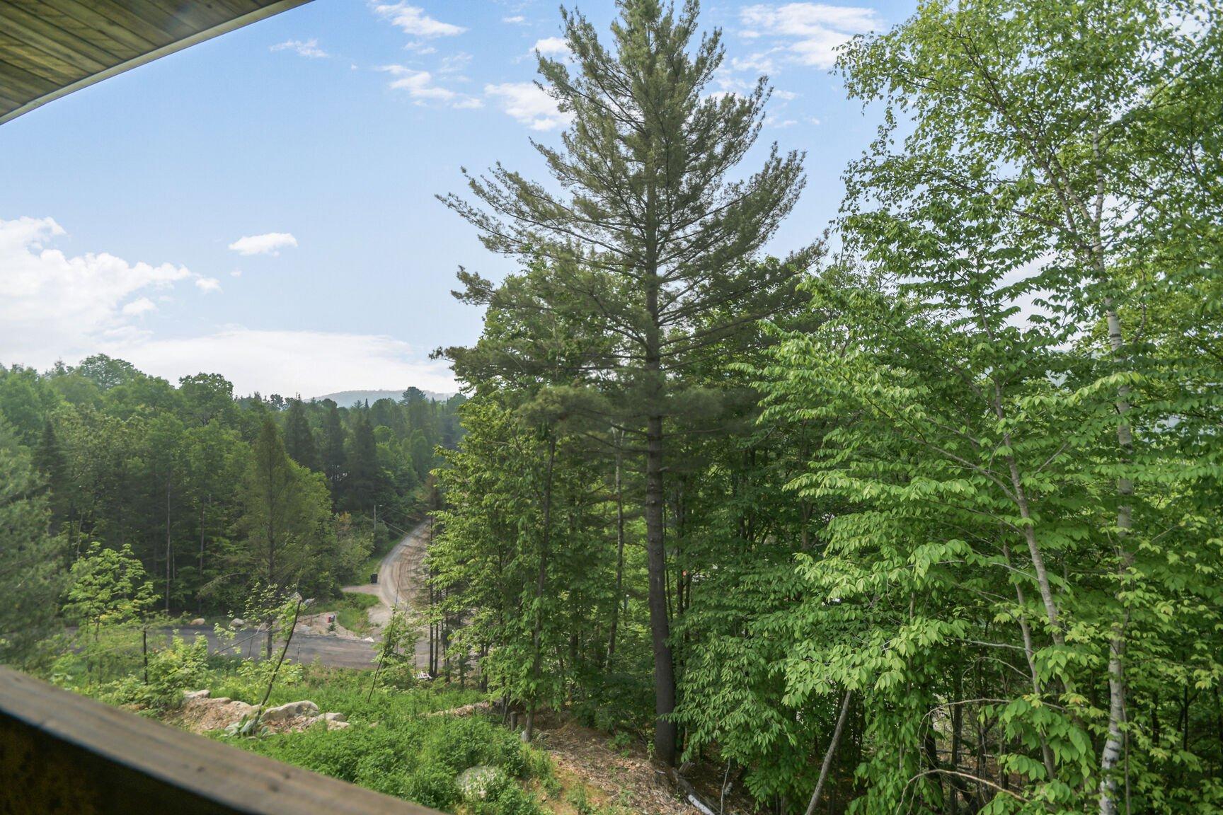 









2216


Rue de la Tourmente

,
Sainte-Adèle,




QC
J8B2W7

