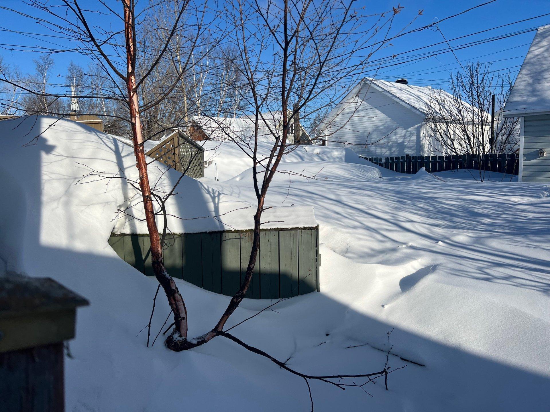 









781


3e Rue

,
Chibougamau,




QC
G8P1P7


