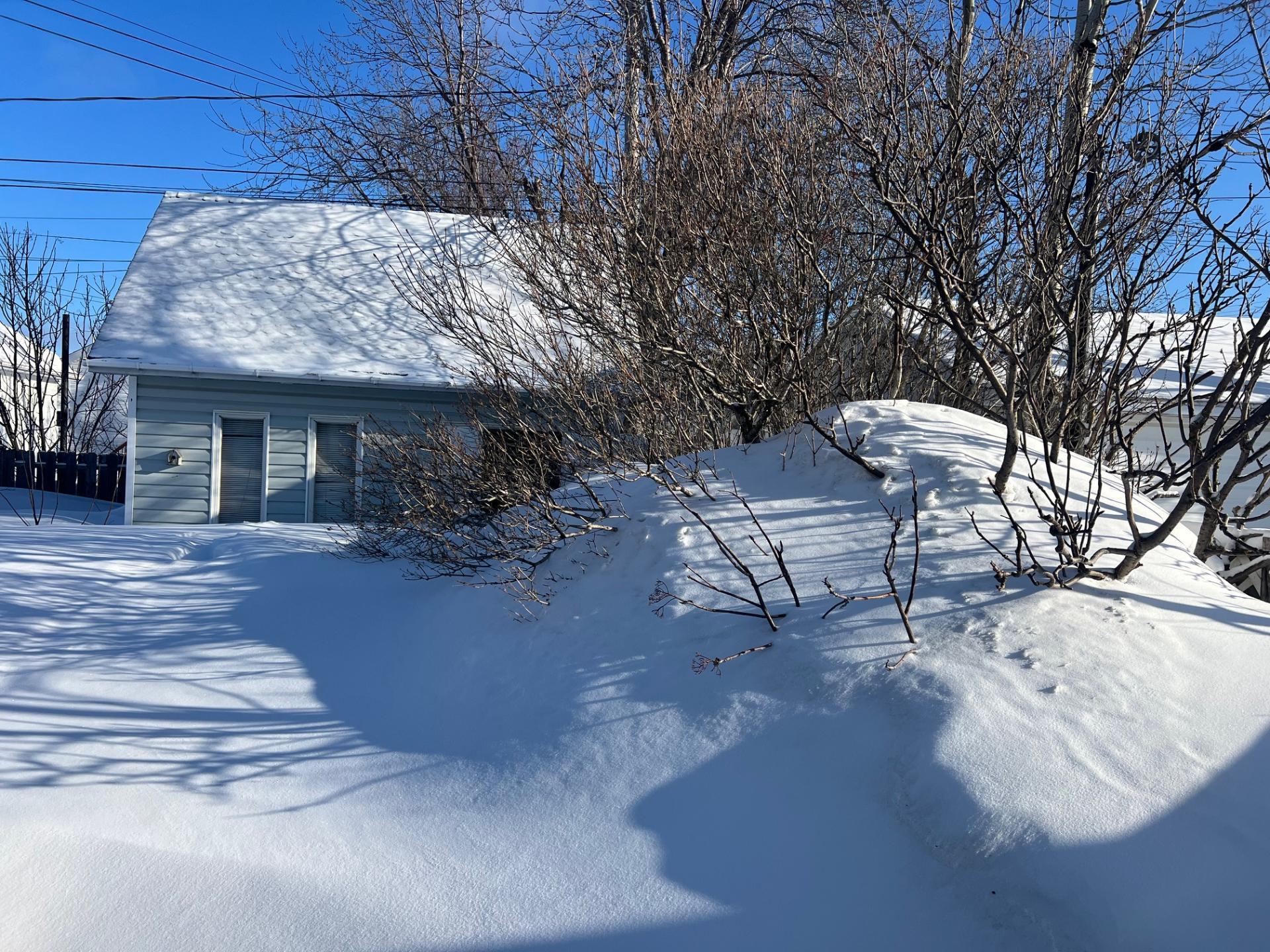 









781


3e Rue

,
Chibougamau,




QC
G8P1P7

