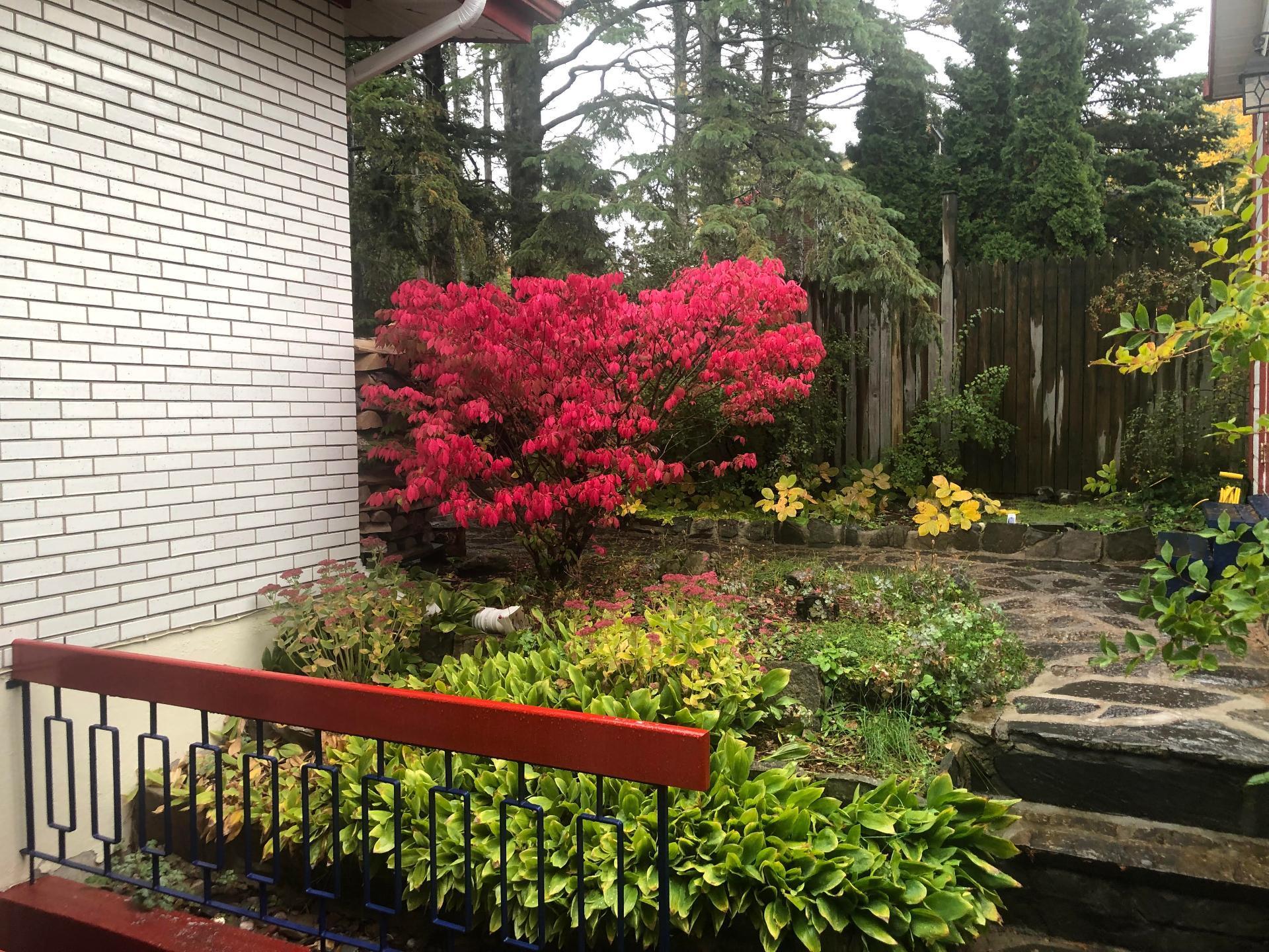 









227


Rue du Domaine

,
Rimouski,




QC
G5L3X9

