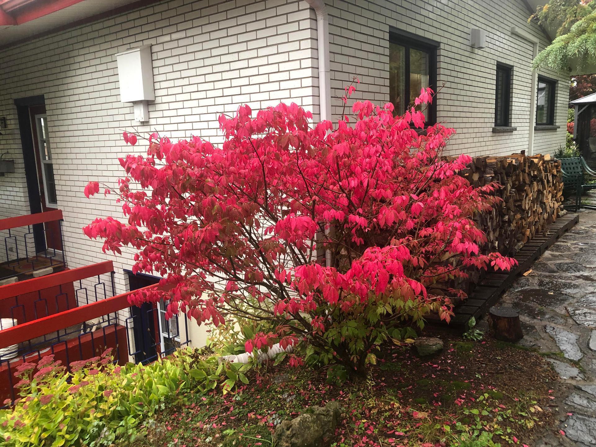 









227


Rue du Domaine

,
Rimouski,




QC
G5L3X9

