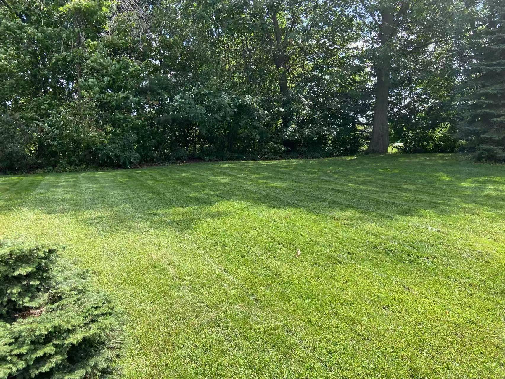 









8980


Crois. Roussin

,
Brossard,




QC
J4X2K3

