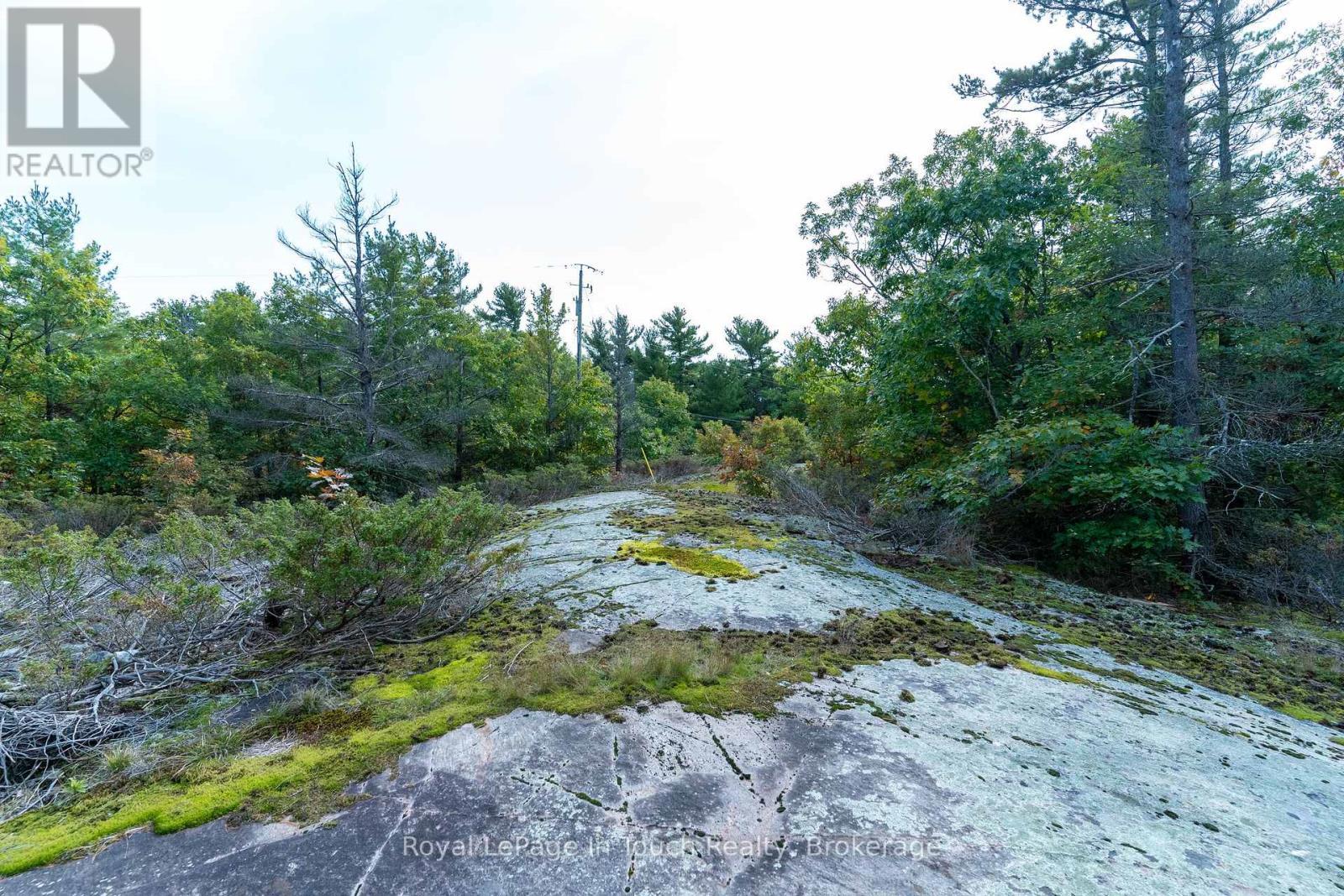 












1276 ISLAND 980

,
Georgian Bay (Baxter),




Ontario
P0E1E0

