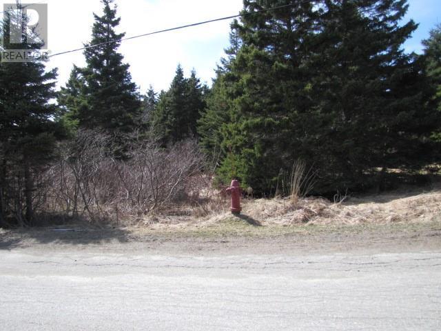 












4 William's Lane

,
Kippens,







Newfoundland & Labrador
a2N3V1

