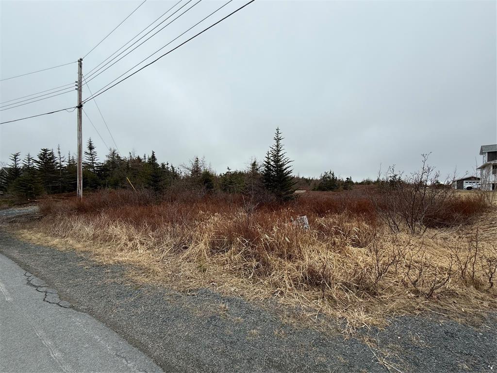 









163


Ridge

Road,
Spaniards Bay,







NL
A0A 3X0

