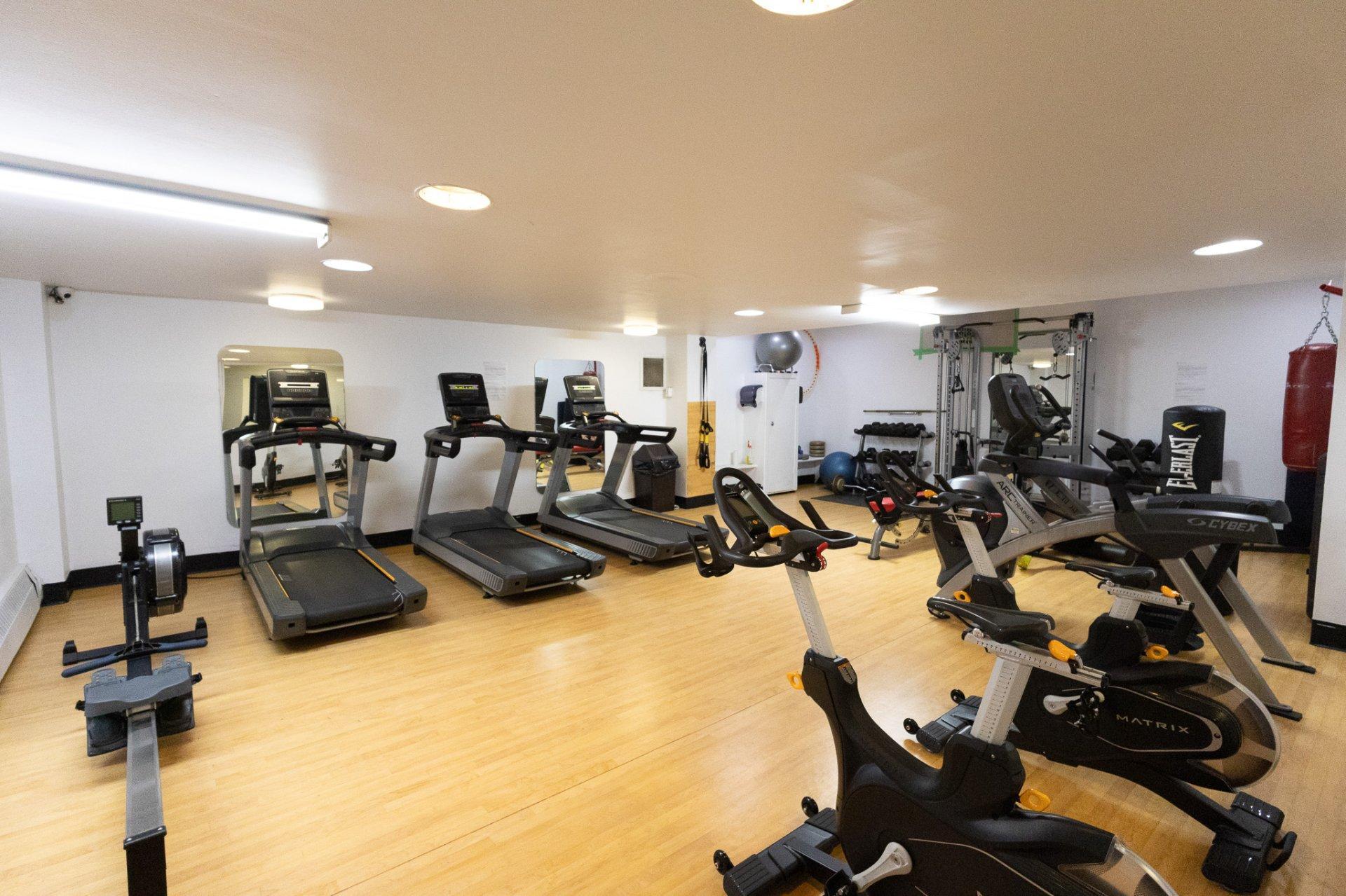 









5700


Boul. Cavendish

, 408,
Côte-Saint-Luc,




QC
H4W1S8

