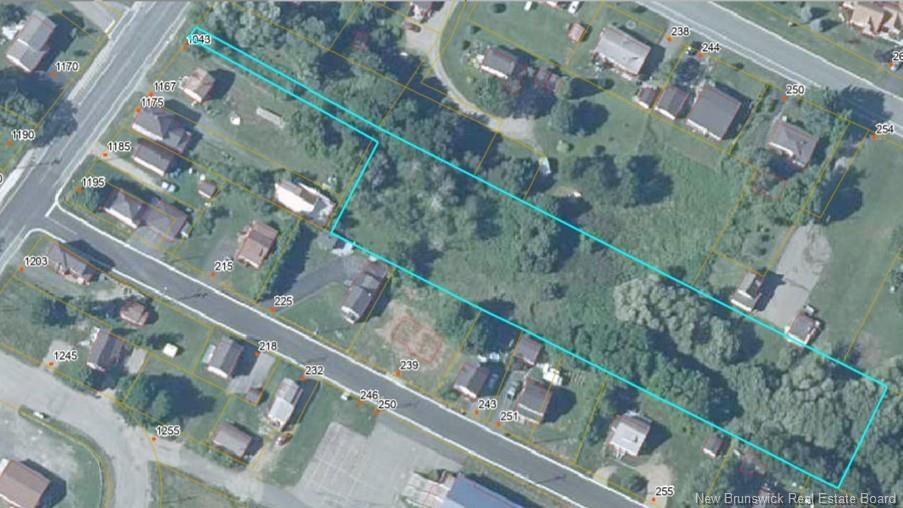 









1163


King

AVE,
Bathurst,







NB
E2A 1S3

