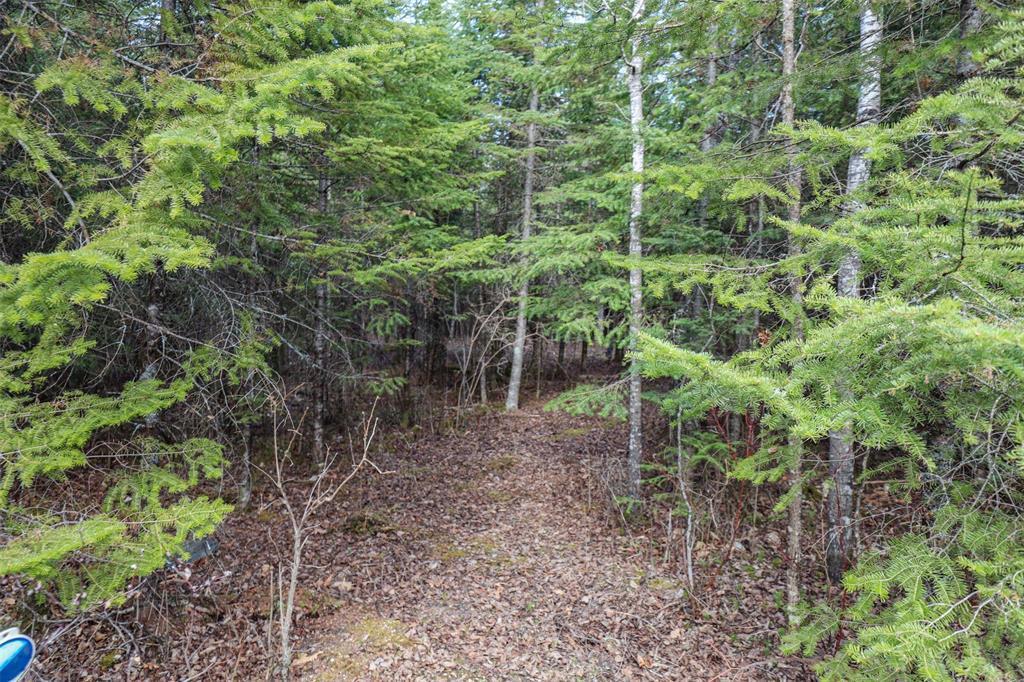 












7 MCKAY LOOP Road

,
Alexander RM,




Manitoba
R0E1A0

