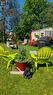 Backyard - Summer
