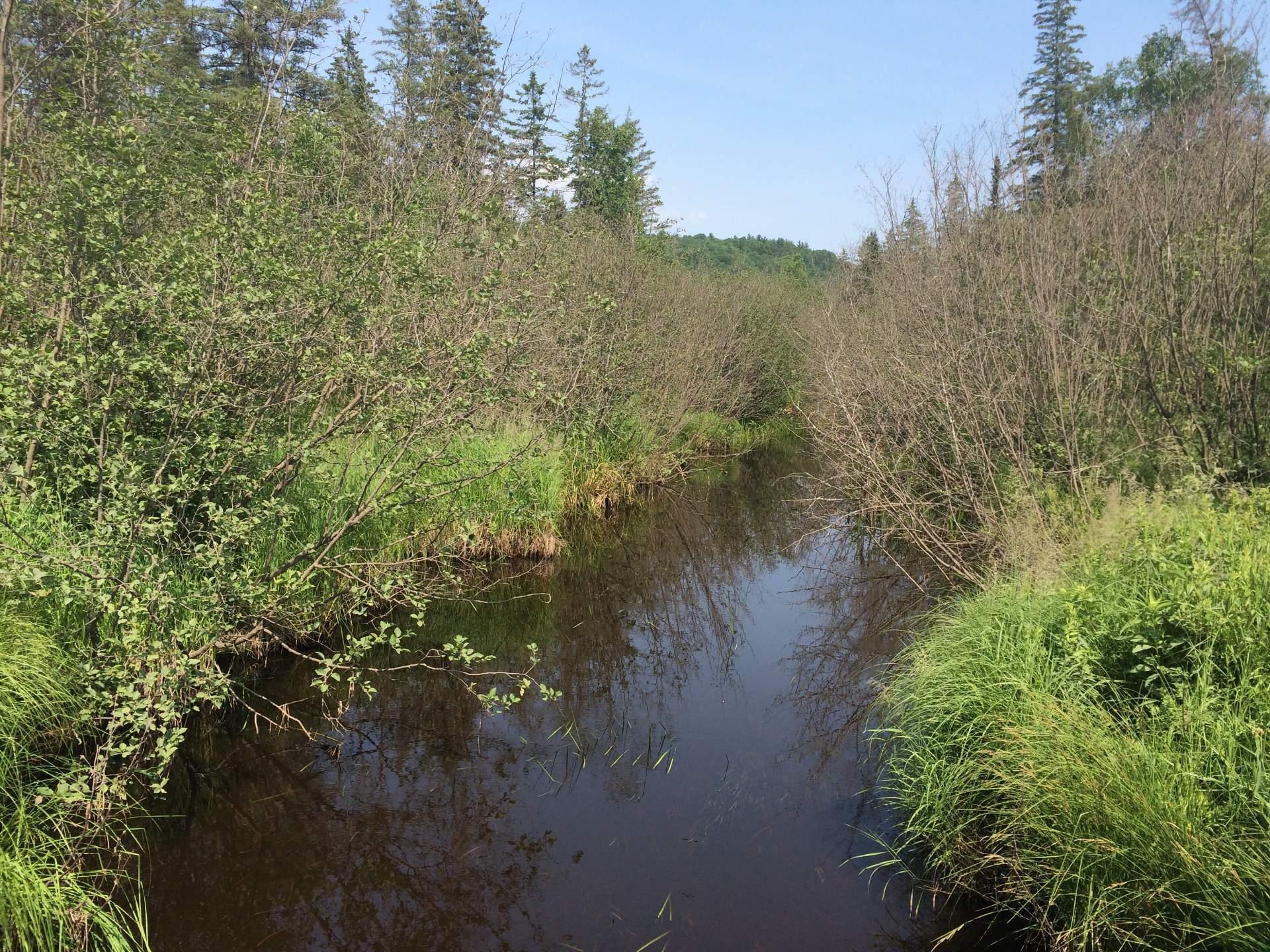 












Ch. Crawford

,
Litchfield,







QC
J0X1K0

