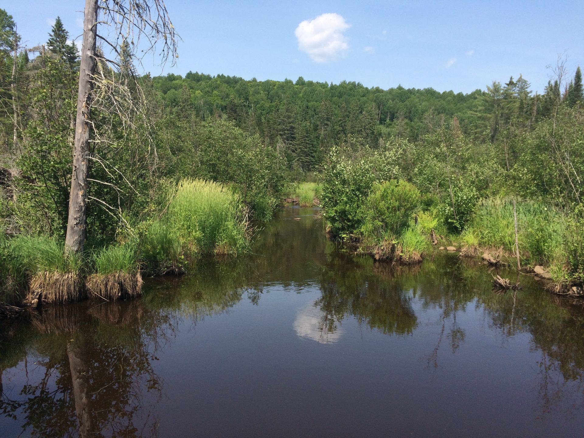 












Ch. Crawford

,
Litchfield,







QC
J0X1K0

